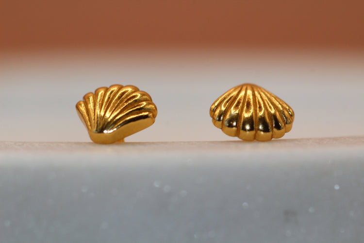 Golden Shell Stud Earrings
