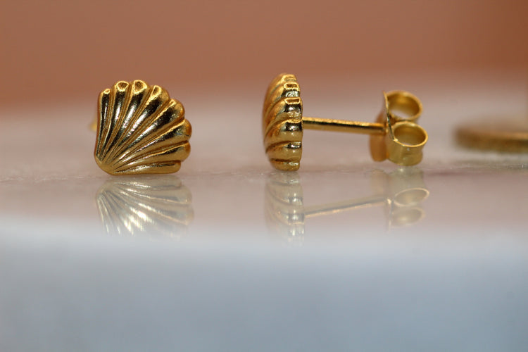 Golden Shell Stud Earrings