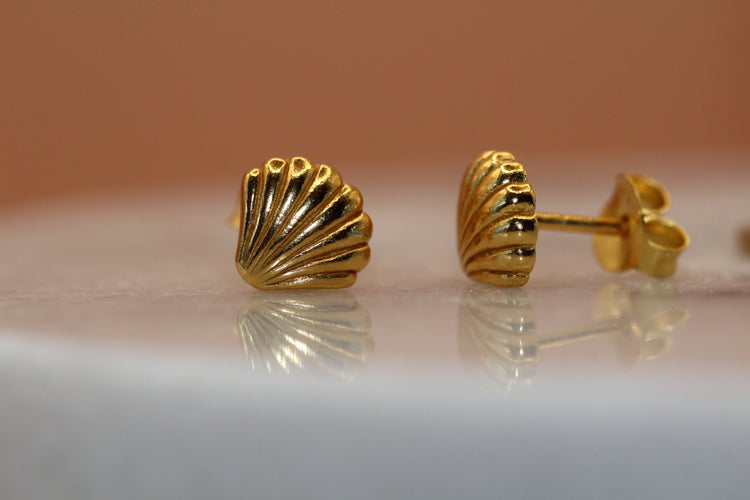 Golden Shell Stud Earrings
