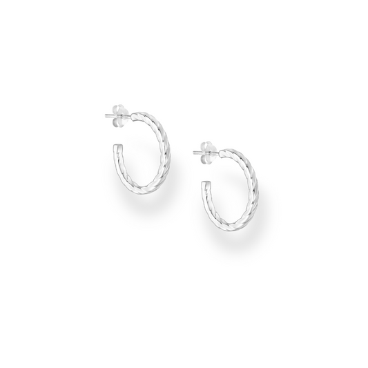 Balmain Silver Earrings