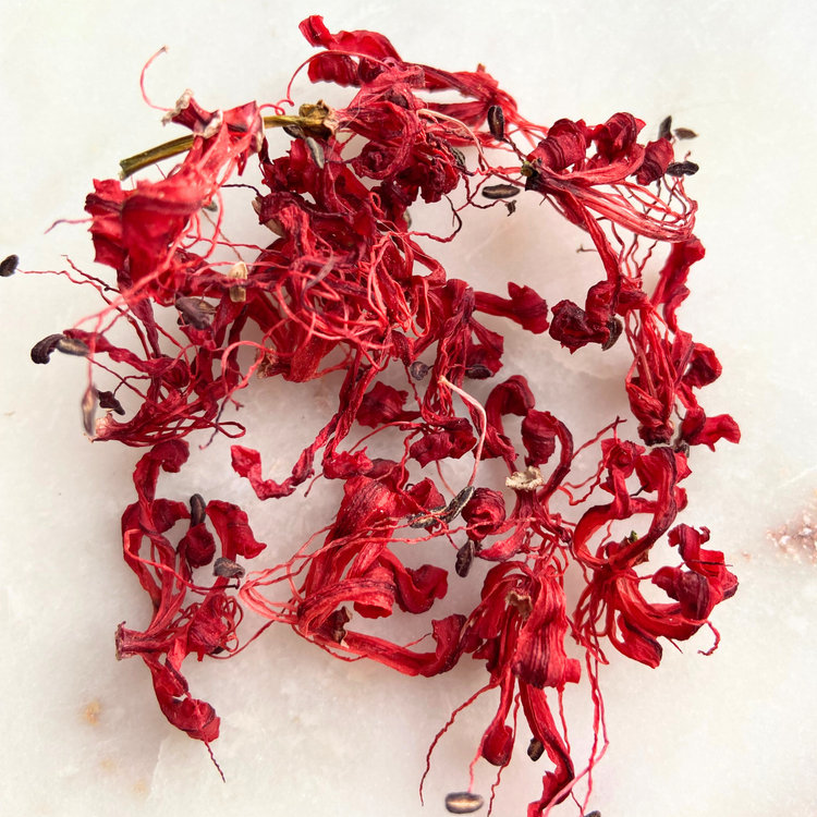 Equinox Flower Dangles