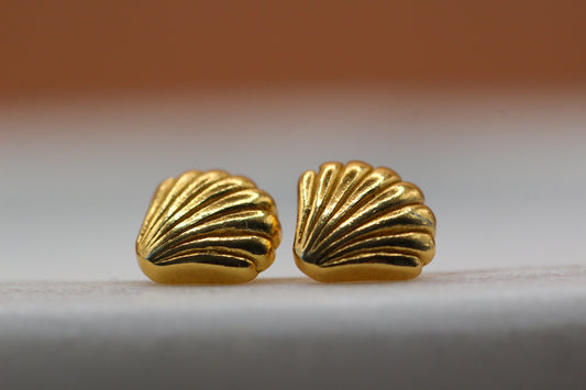 Golden Shell Stud Earrings