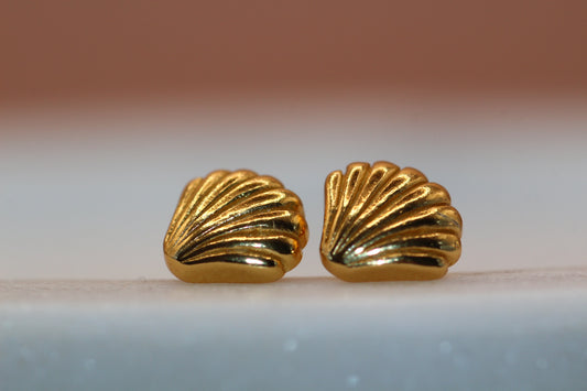 Golden Shell Stud Earrings